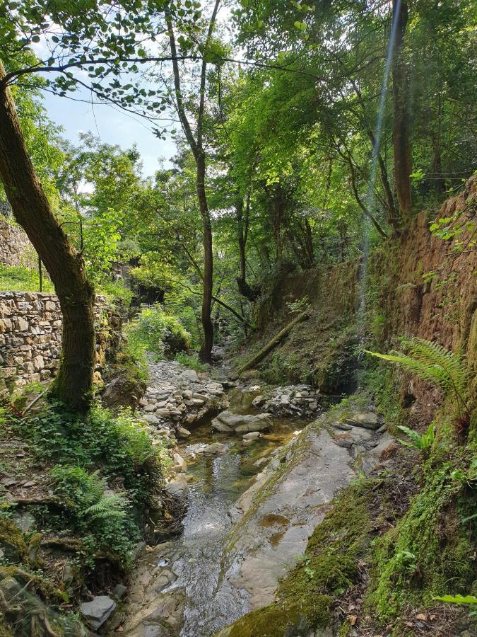 Collina E Mare Villa Camogli Exteriör bild