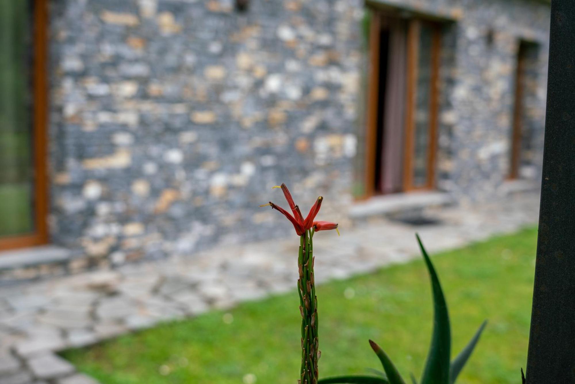 Collina E Mare Villa Camogli Exteriör bild